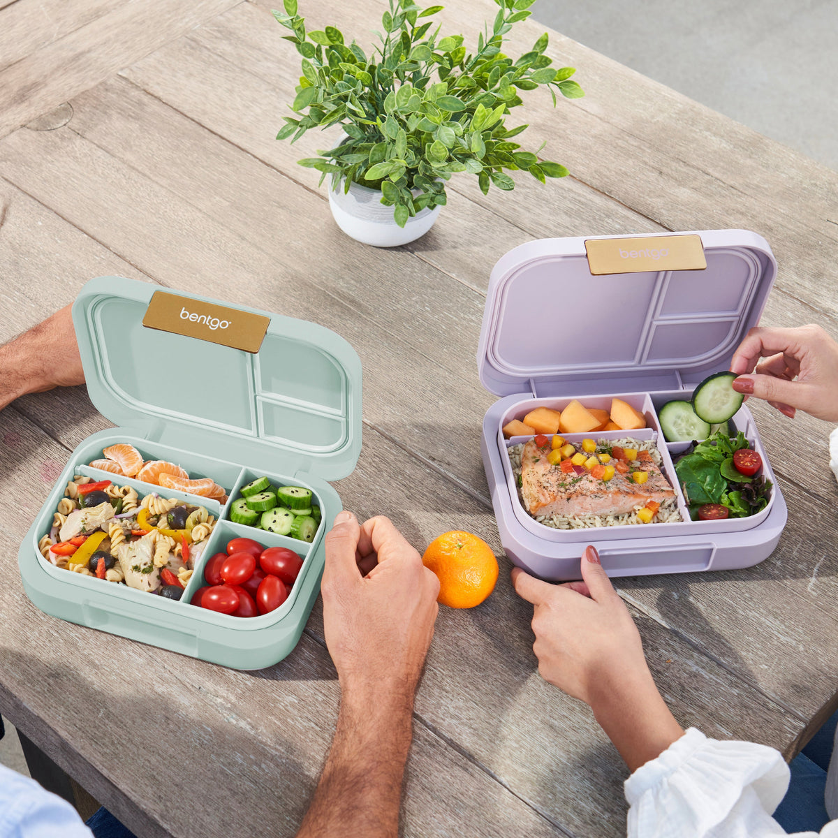 bentgo-modern-lunch-box-2-pack-m0 COSTCOBMCPRODUCTIMAGE_2.jpg